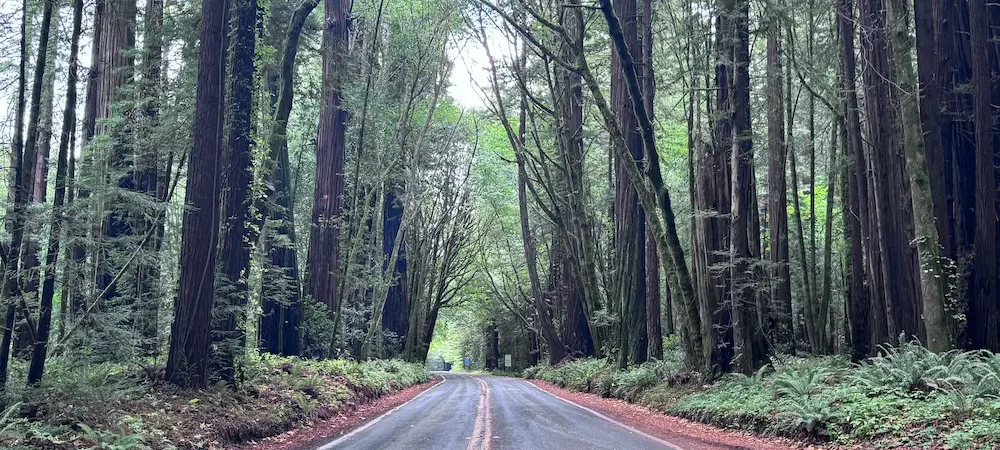 Welcome to JAM Roaming: Why We Started This Adventure