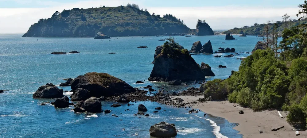 Best Restaurants in Humboldt County: 5 Places We Keep Returning To
